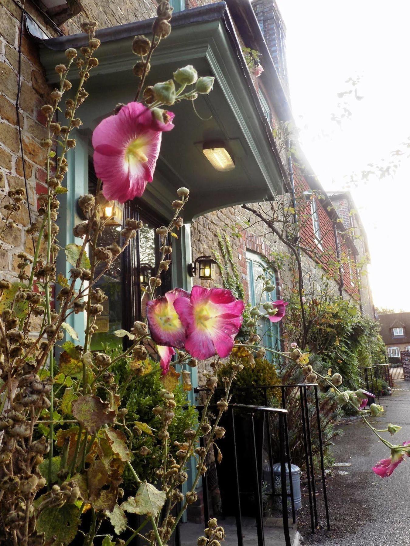 The Angel B&B Chichester Exteriör bild
